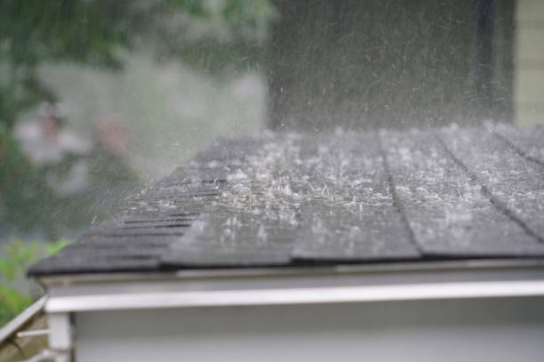 Best Solar Panel Roofing Installation  in Wakarusa, IN